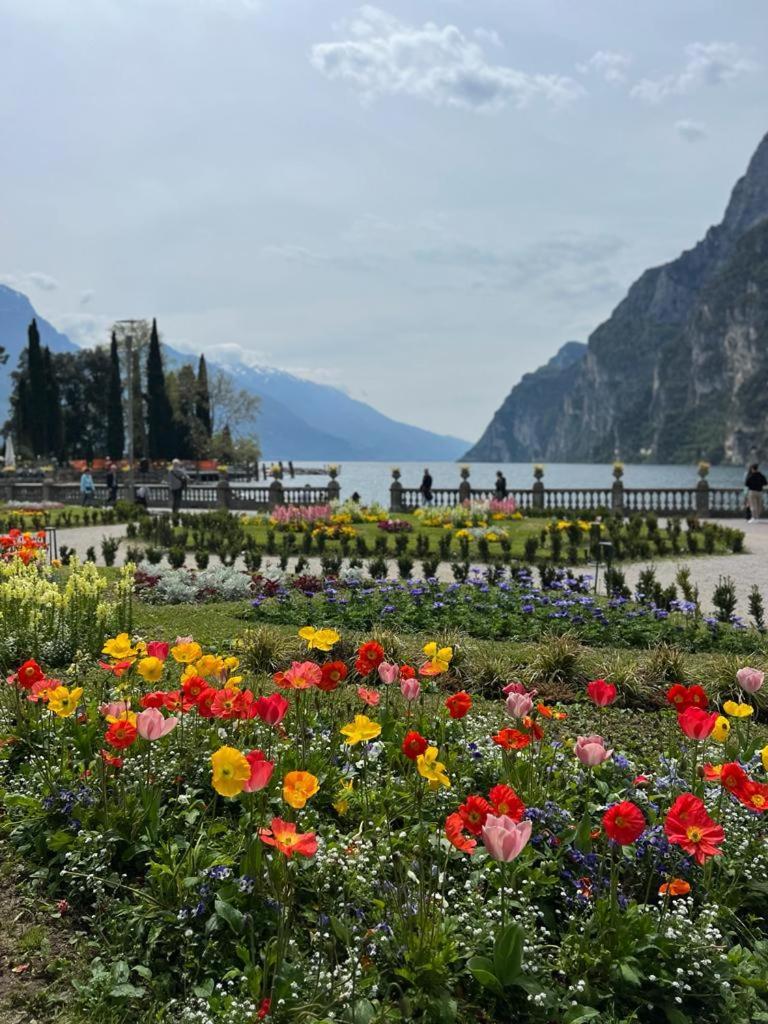 Absentia 1763 Garda Boutique Home - Lake Front Brenzone sul Garda Bagian luar foto